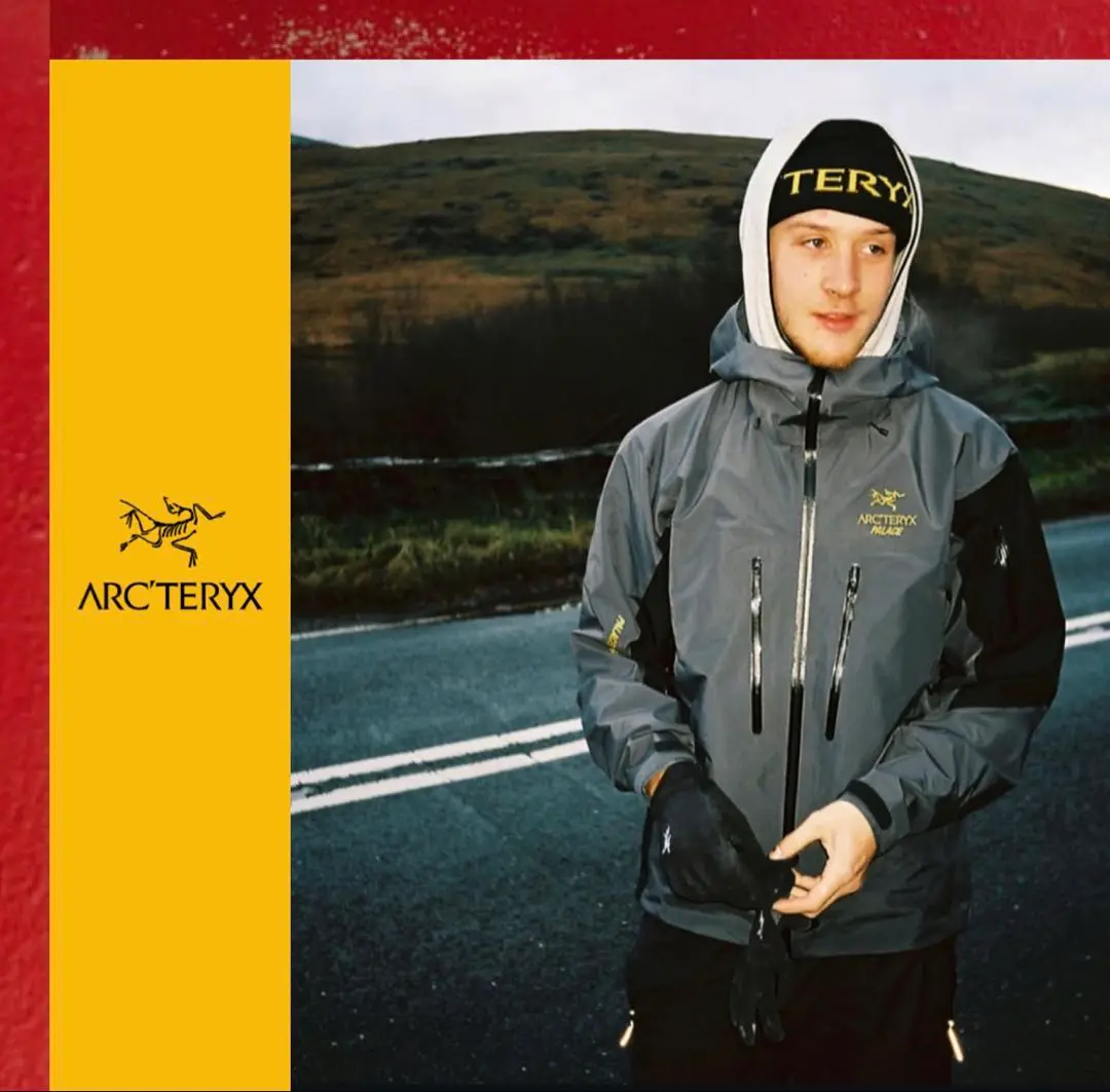 PALACE × ARC’TERYX Alpha SV サイズL Palace Arc'teryx Alpha SV Jacket Grey Men's - FW20 - US