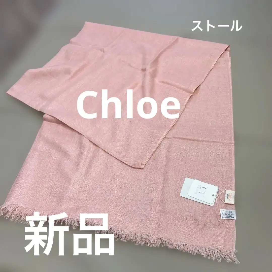 2025年最新】Chloe 素材：カシミヤ レディース ストール