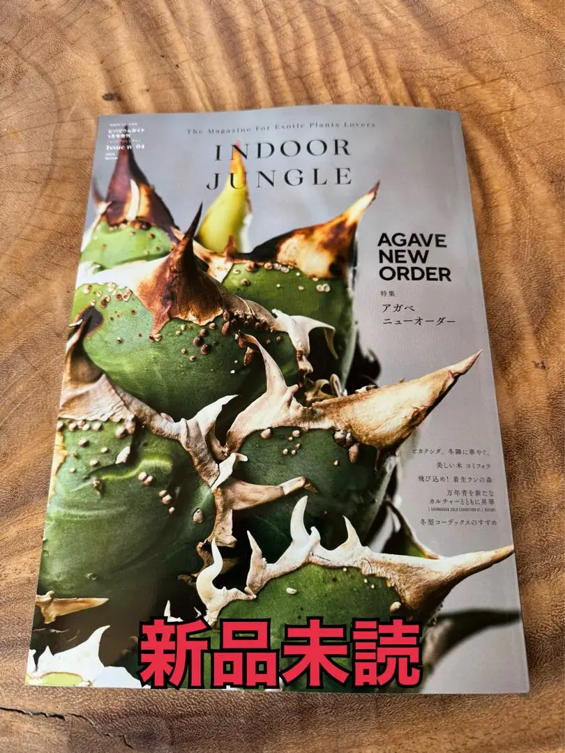インドアジャングル　1〜3セット販売 2025年最新】indoor jungle アガベの人気アイテム - メルカリ