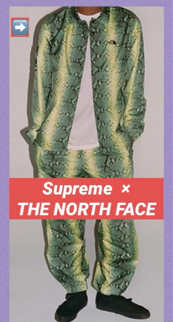 Supreme/The North Face パイソン ヘビ柄コーチジャケット Supreme - Supreme THE NORTH FACE ヘビ柄コーチジャケット