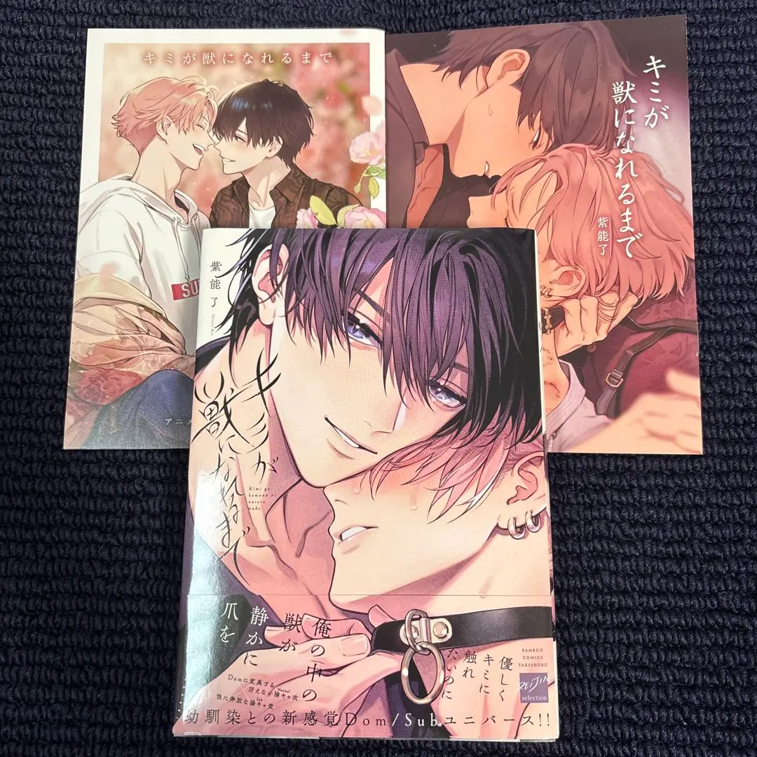 Thumbnail of Until You Can Become a Beast