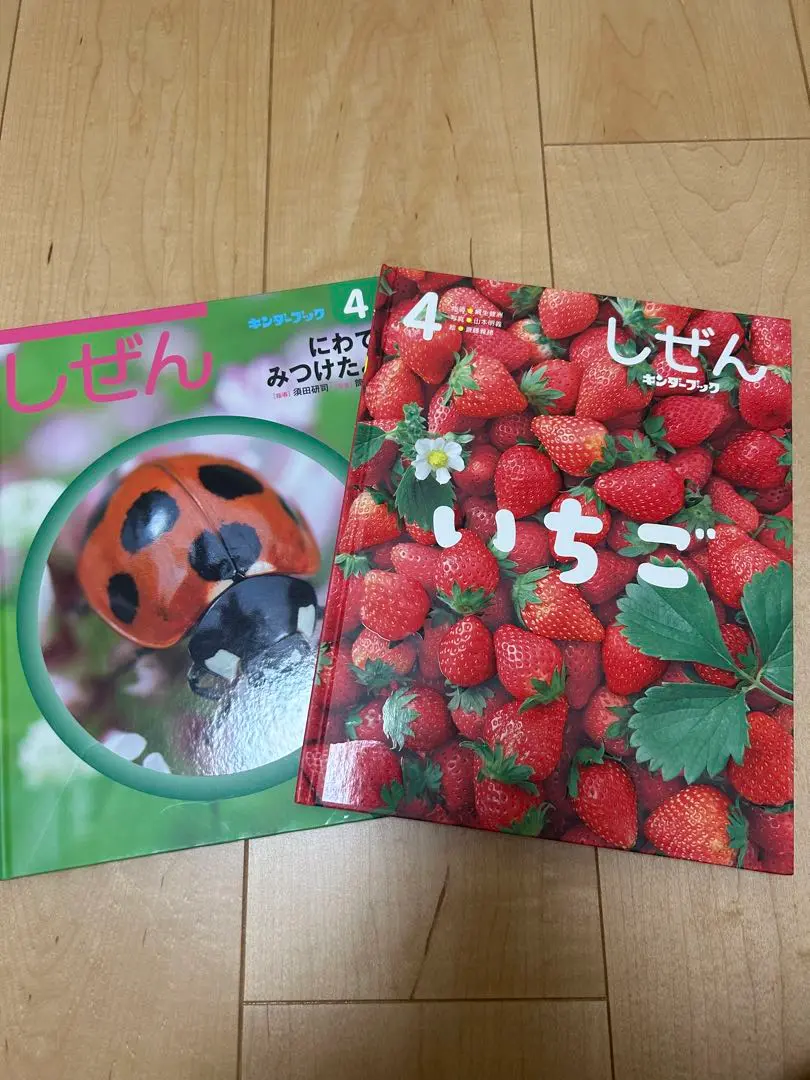 20冊 絵本セット しぜん キンダーブック うし いちご カレー うみ みかん 2025年最新】キンダーブック しぜん いちごの人気アイテム