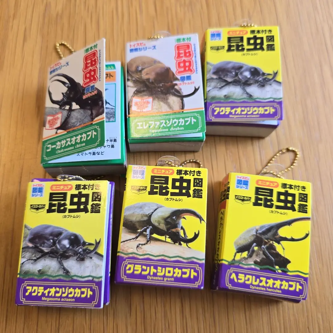 グラントシロカブト ペア 標本 グラントシロカブト ペアセット 昆虫標本 - メルカリ