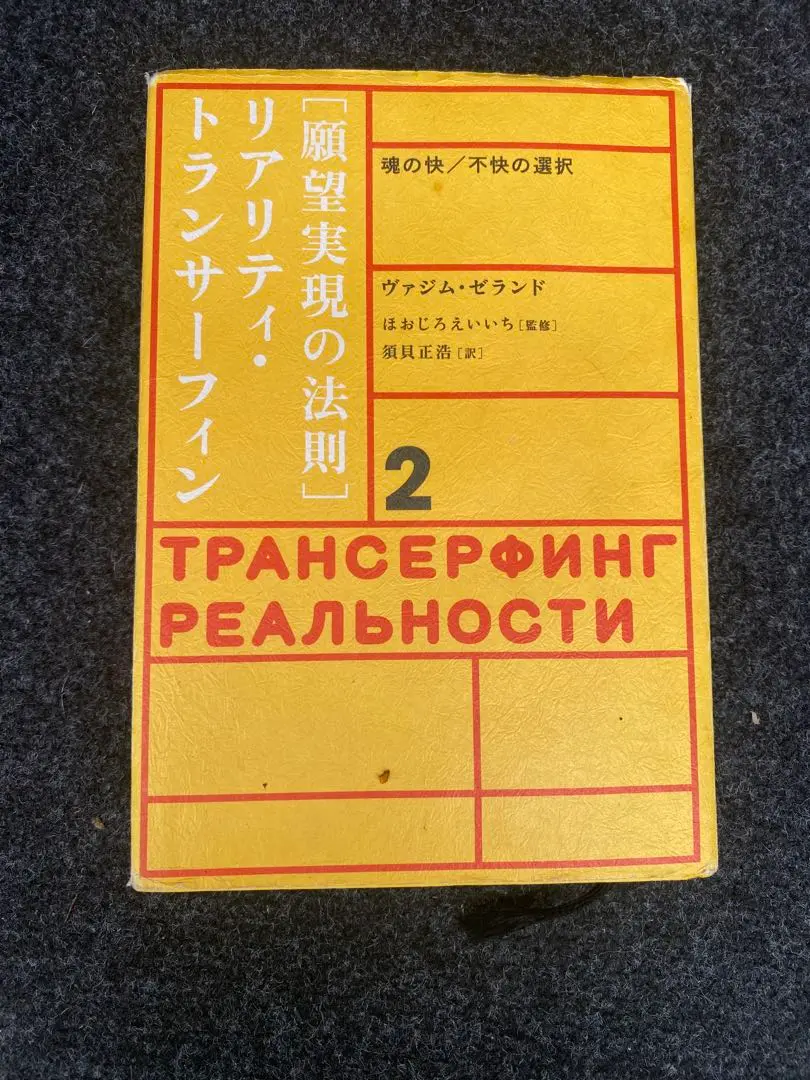 英語版　願望実現の法則　リアリティ▪️トランサーフィン 2 ＆ヒーリングDVD リアリティ・トランサーフィン 2: 願望実現の法則 | ヴァジム