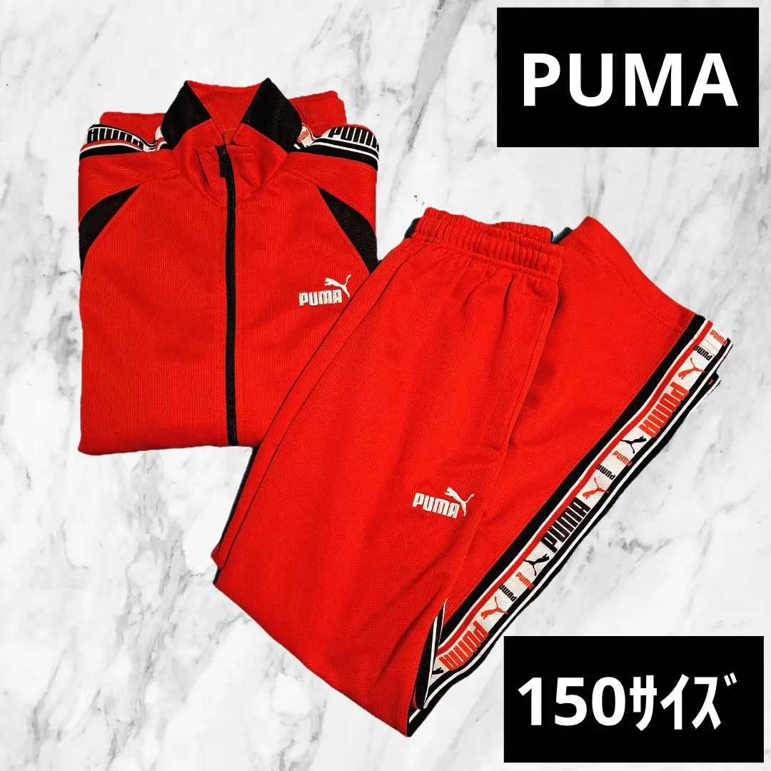 降價【PUMA】 150cm 紅色 運動服 上下套裝 運動訓練 的縮圖