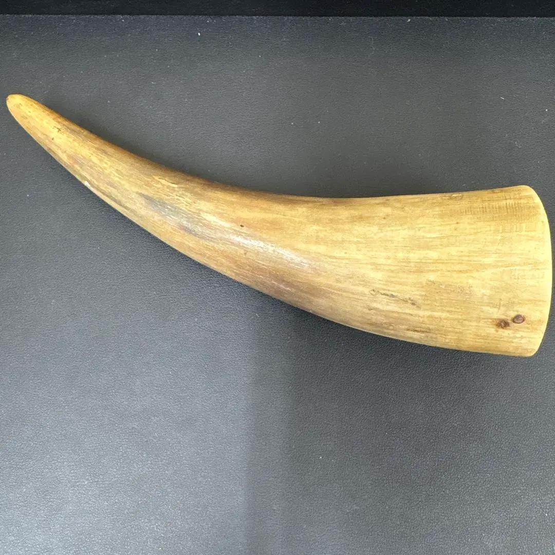 2025年最新】バッファロー 頭蓋骨の人気アイテム - メルカリ