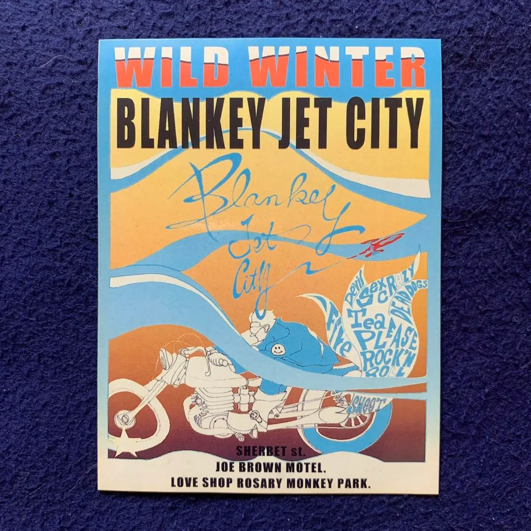 趣味・スポーツ・実用 Wild winter : BLANKEY JET CITY BLANKEY JET CITY 書籍 ワイルドウィンター 1991-1998