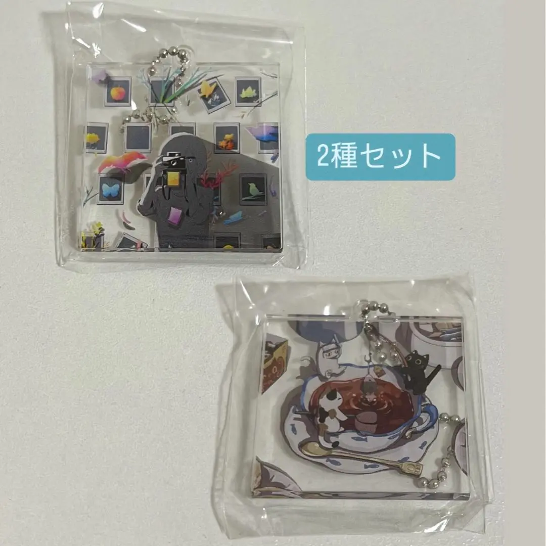 アボガド6 OFFICIAL STORE