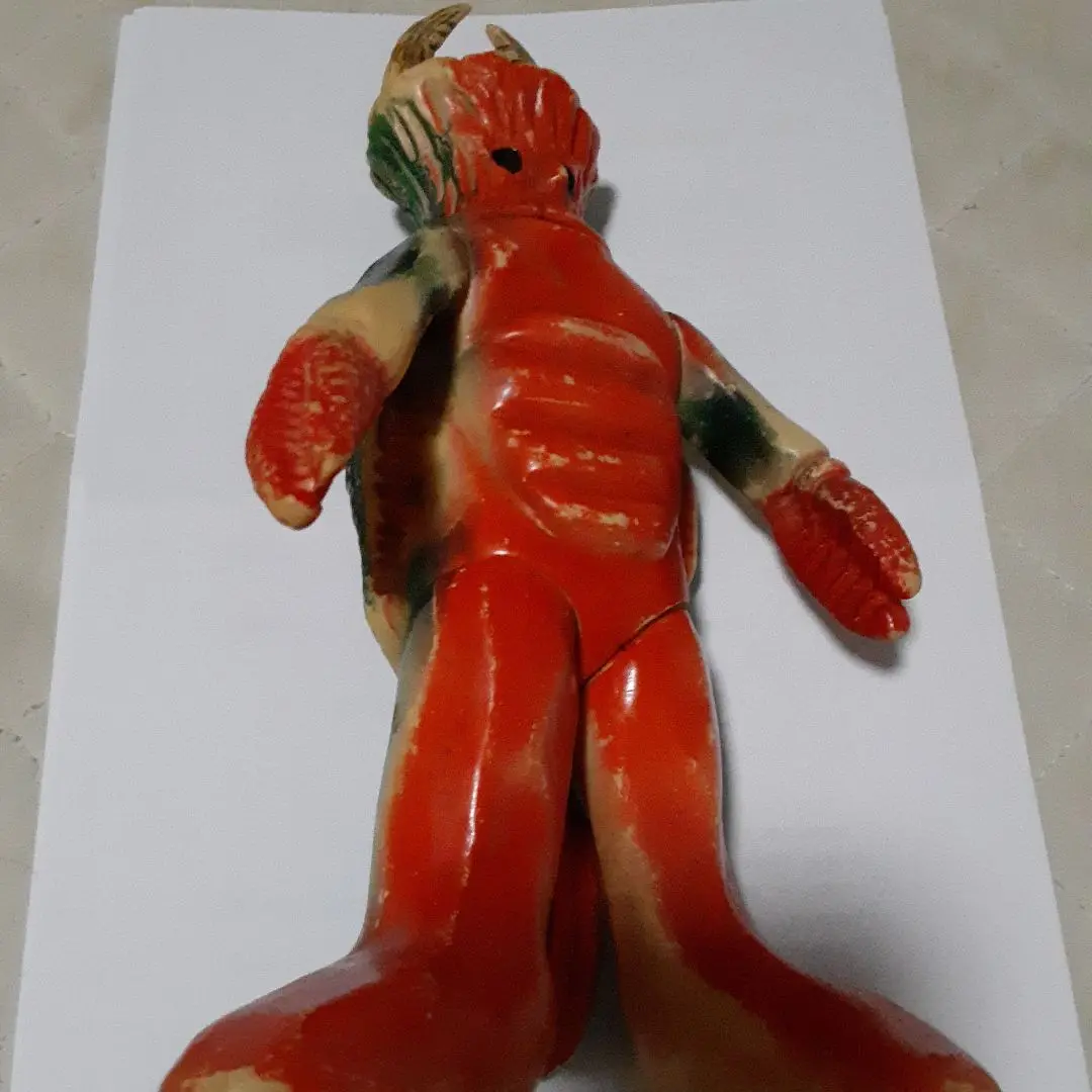 マルサン トルトス海人（大）
