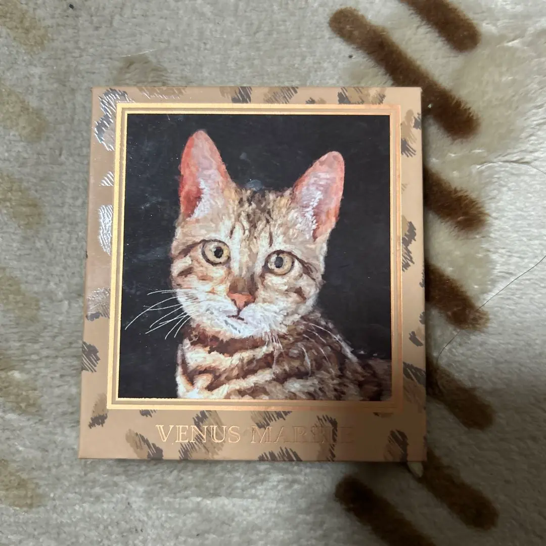 降價！眼影 VENUS MARBLE 孟加拉貓 的縮圖