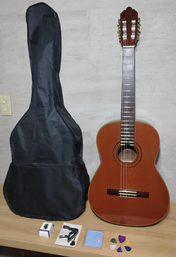 【現状品】Hotta 堀田楽器/日本製/120号 アコースティックギター 2025年最新】HOTTA 120の人気アイテム - メルカリ