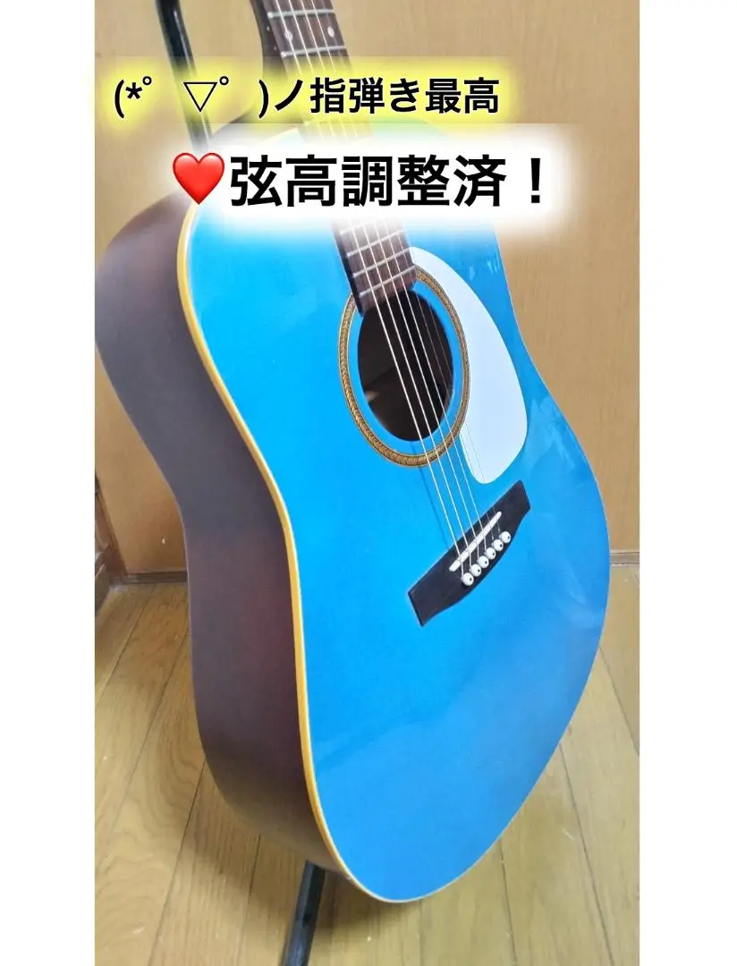 2025年最新】seagull s6の人気アイテム - メルカリ 2025年最新】seagull s6の人気アイテム - メルカリ