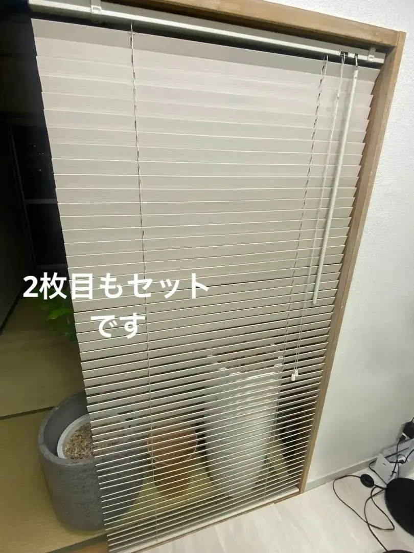 2025年最新】NITORI 素材：木製 ブラインドの人気アイテム
