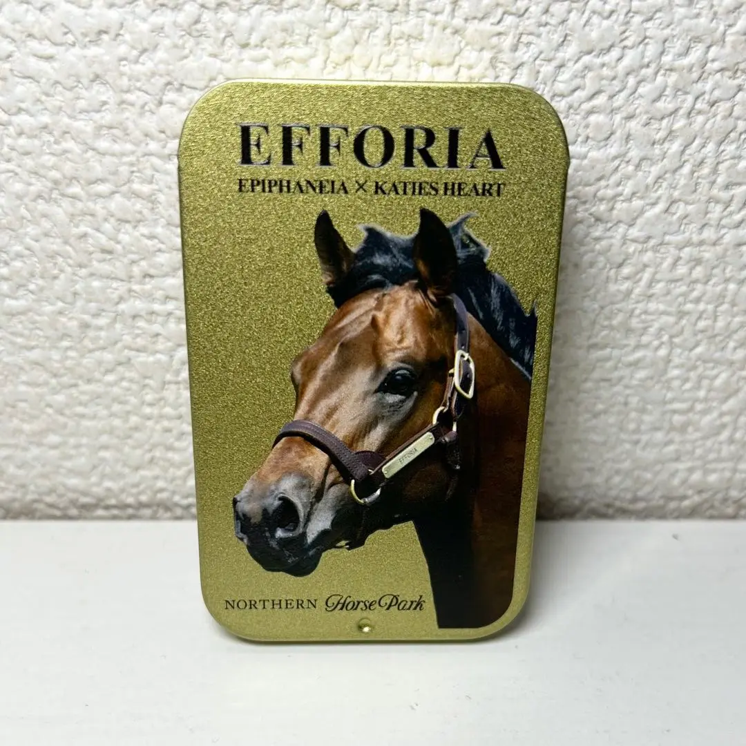 ゴールドシップ　スライド缶　ラムネ(レモン風味)【1,500円】 スライド缶ラムネ ゴールドシップ - 競馬グッズの通販サイト