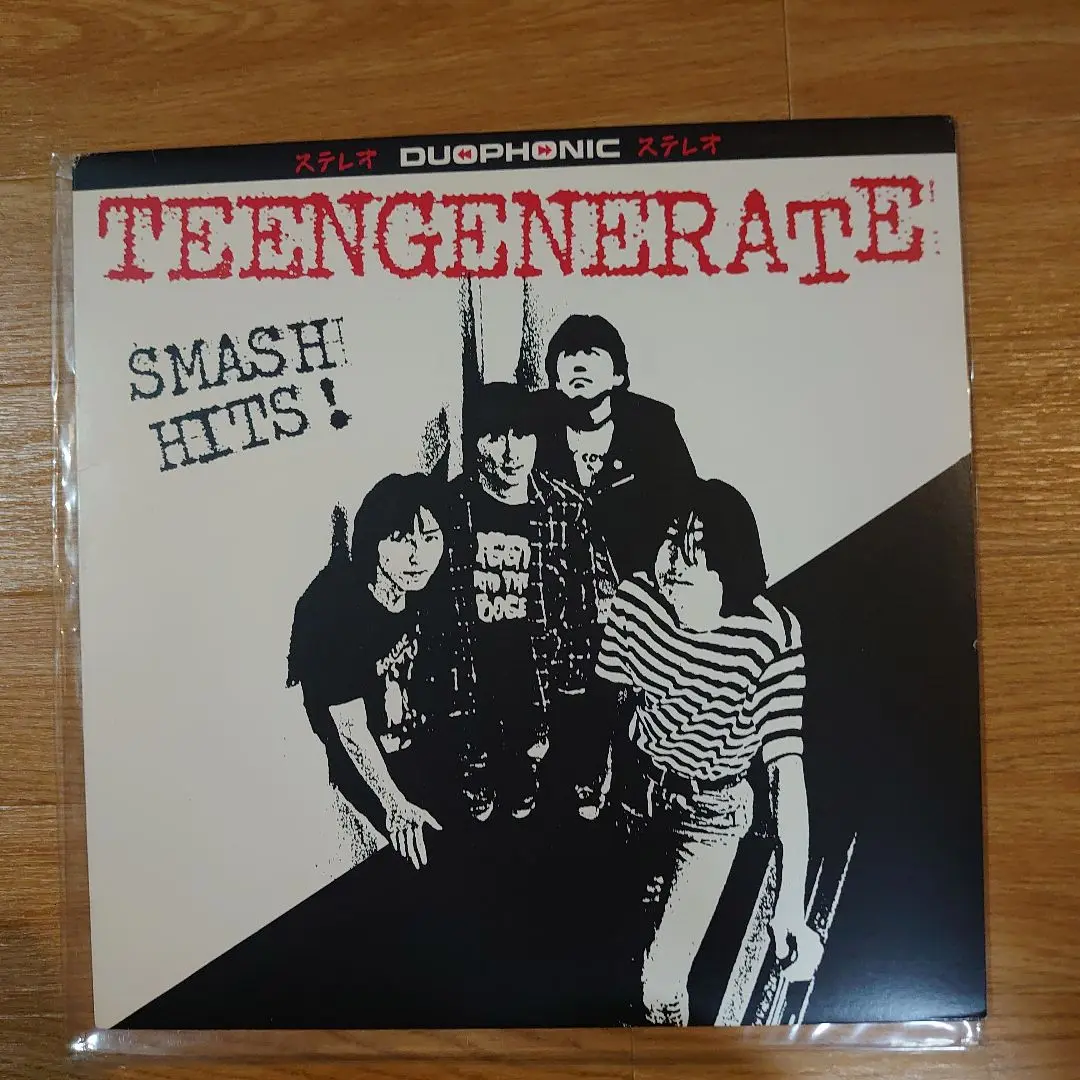 TEENGENERATE 10inchレコード 2025年最新】teengenerate レコードの人気アイテム - メルカリ