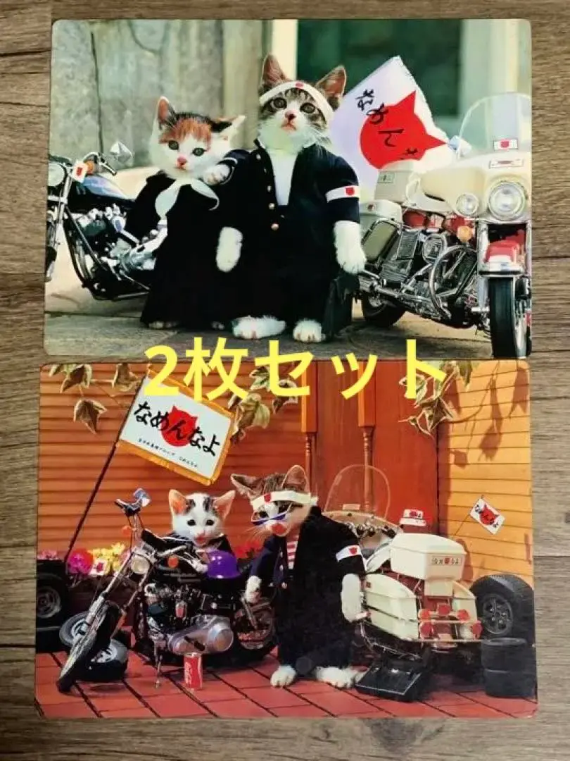 なめネコ　下敷き　10枚セット なめんなよ 下敷き なめ猫 昭和レトロ - メルカリ