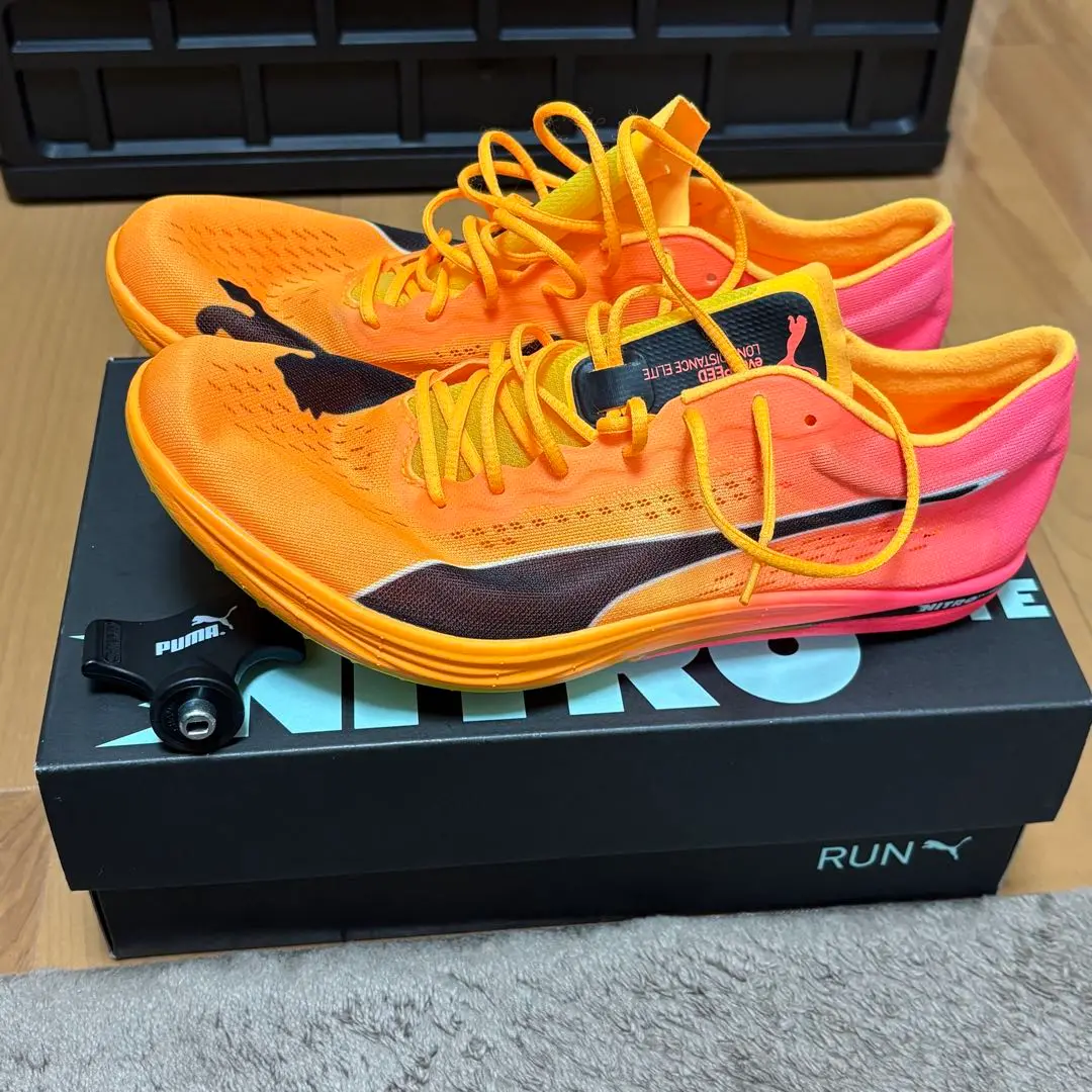 PUMA｜メンズ エヴォスピード ロングディスタンス ニトロ