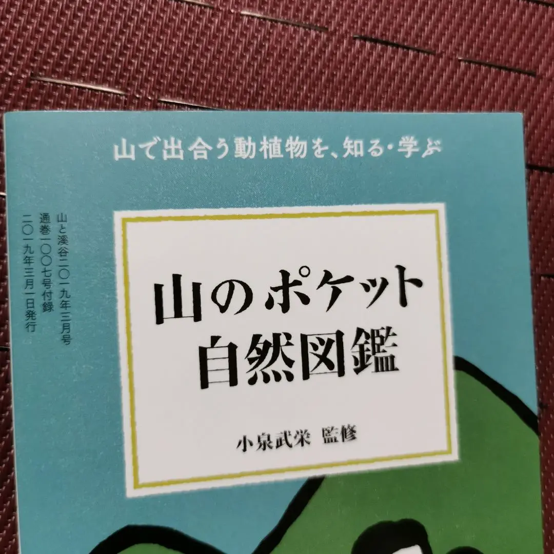 2025年最新】山と渓谷社日本の樹木の人気アイテム - メルカリ