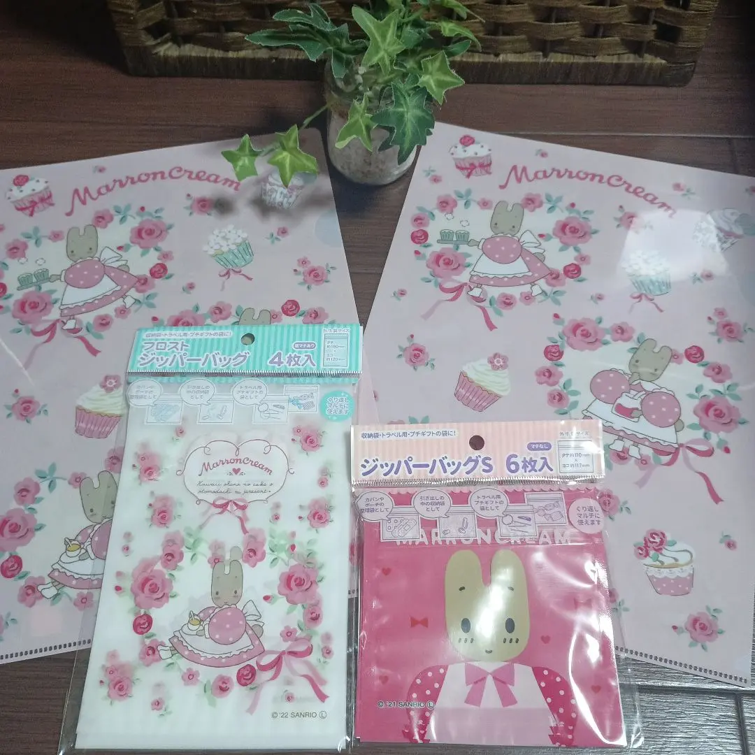 Thumbnail of Marron Cream Clear File and Zipper Bag Set