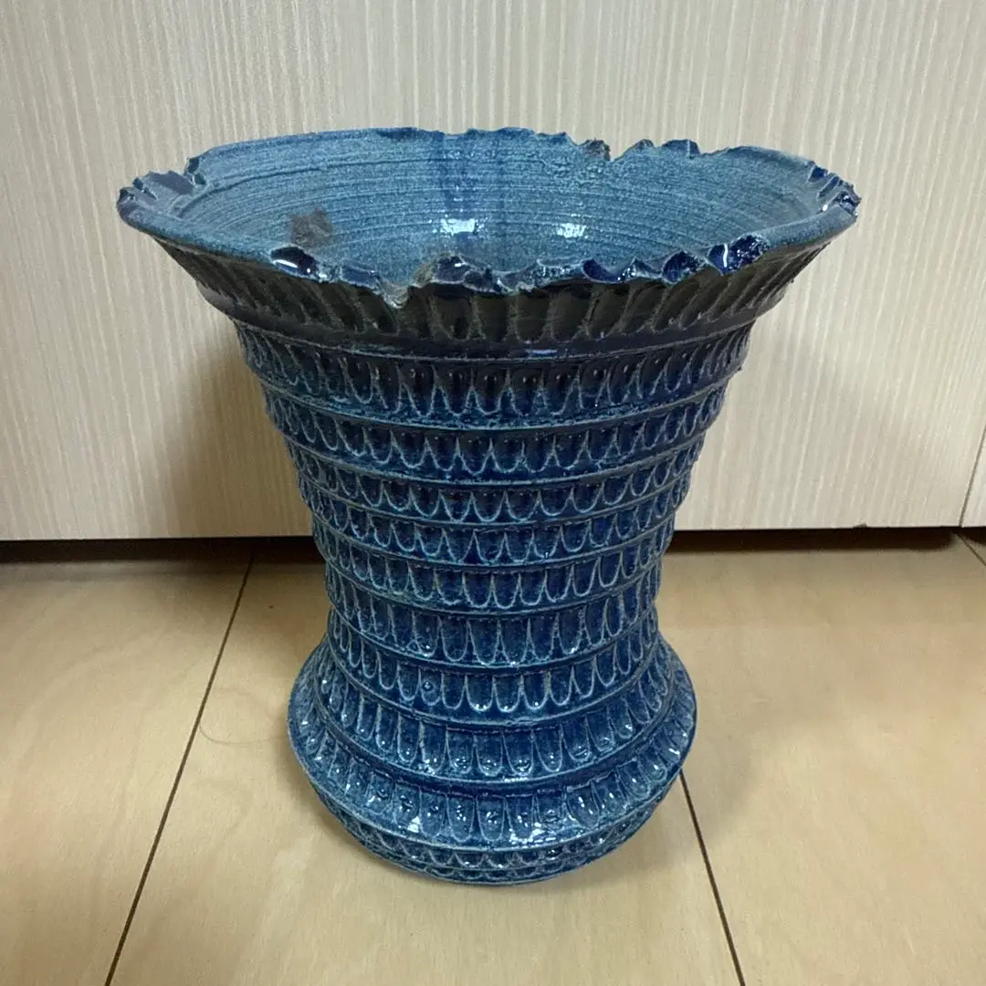 ボ*ド様 高木狂刺系バッテリー 鉢植え メルカリ便送料込み ボ*ド様 高木狂刺系バッテリー 鉢植え メルカリ便送料込み