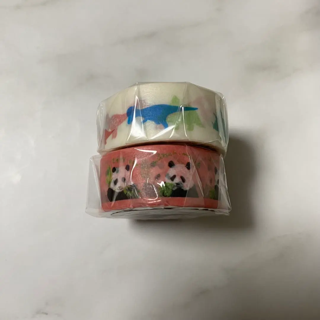 Thumbnail of Masking tape: Hedera (ivy)