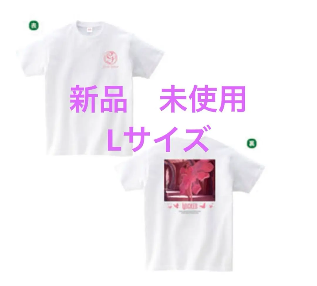 【新品未開封】 ウィキッド ふたりの魔女　Ｔシャツ　エルファバセット ウィキッド ふたりの魔女