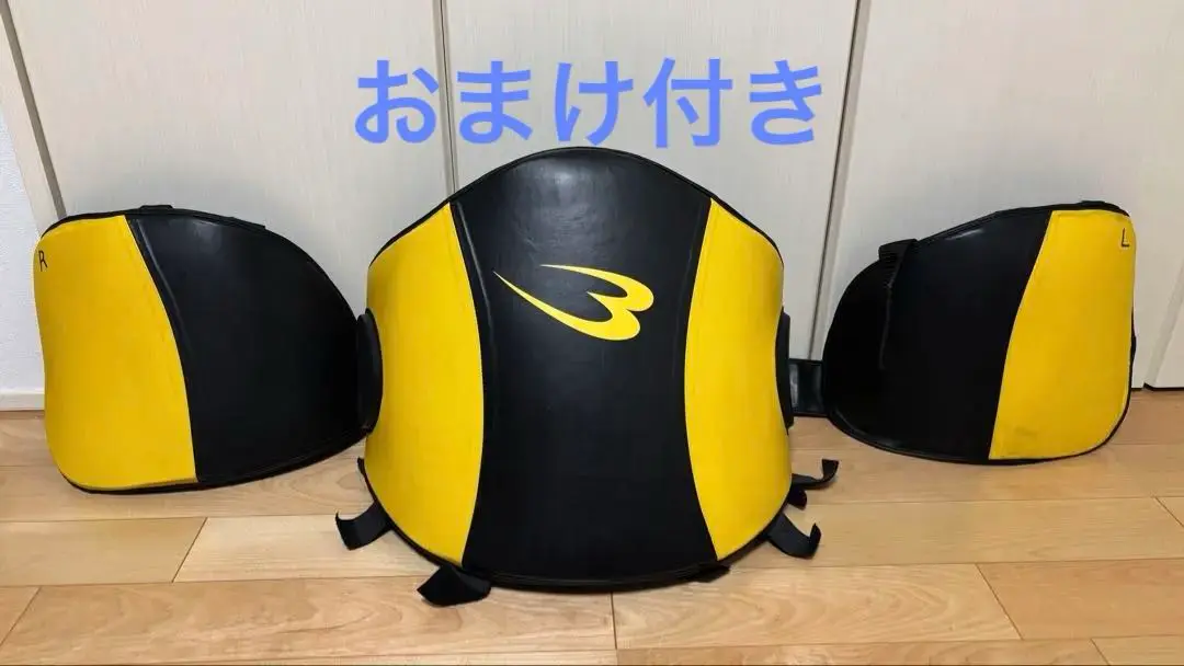 値下げ　ツインズ　ボディープロテクター　イサミ　ローキックガードセット ローキックプロテクター | 新商品 | ISAMI(イサミ) |格闘技 武