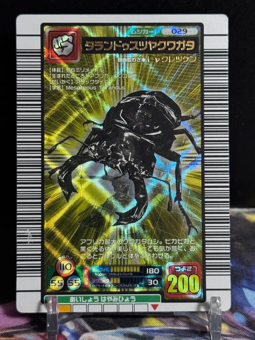 2025年最新】タランドゥスツヤクワガタ 2005の人気アイテム - メルカリ