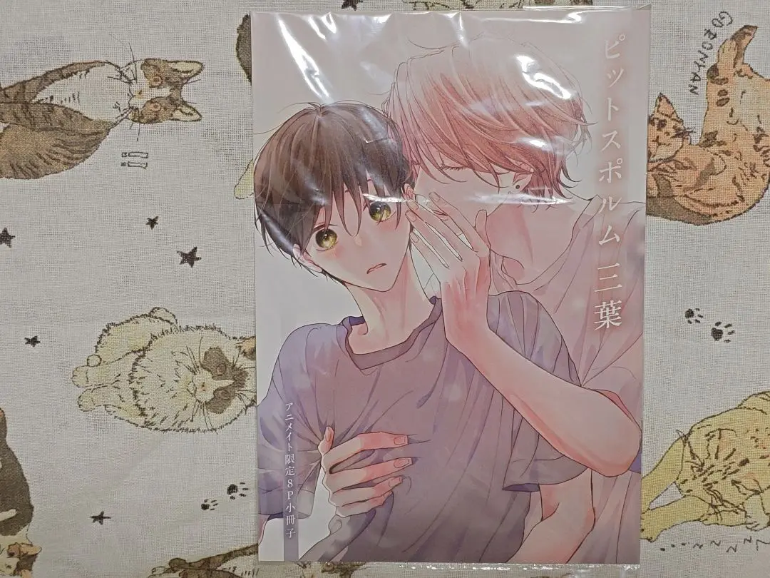 2025年最新】ピットスポルム 三葉 アニメイトの人気アイテム