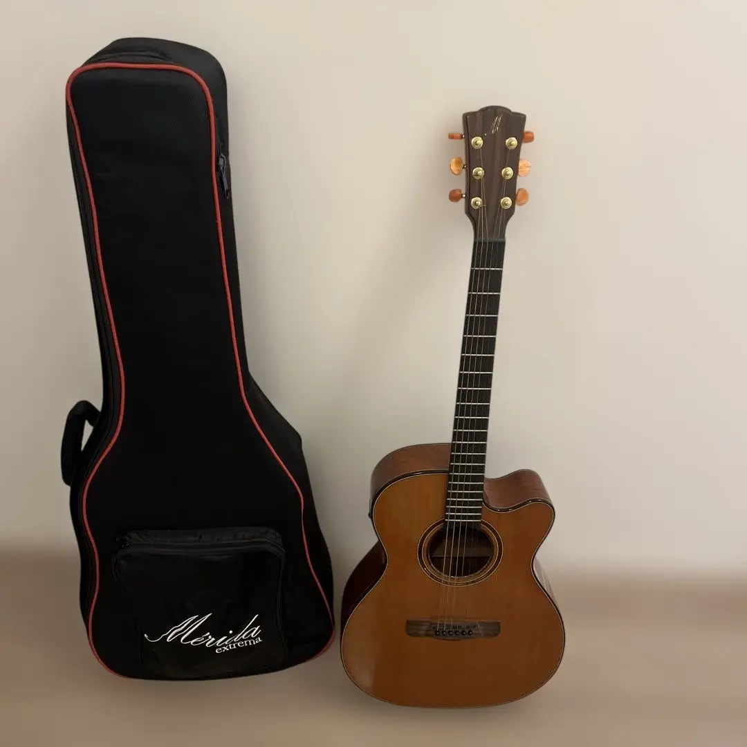 アコースティックギターMerida Extrema「PALLAS」 Pallas - Guitar Boutique
