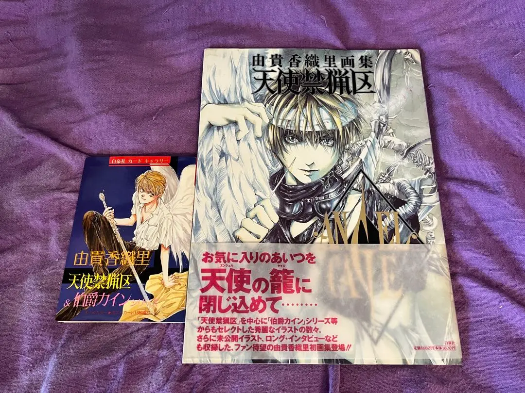 天使禁猟区 愛蔵版 1-10巻 全巻 画集2冊 12冊セット★由貴香織里 白泉社 コミック】天使禁猟区（愛蔵版）（全10巻） | 由貴香織里 |本