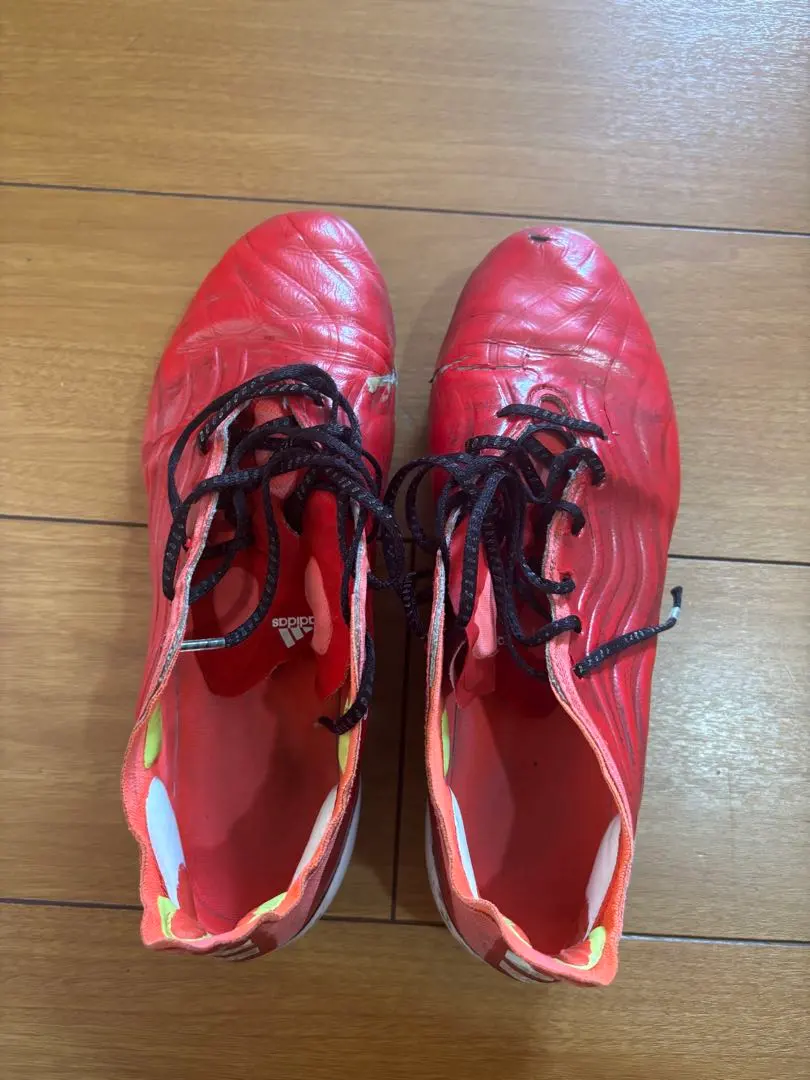 Thumbnail of COPA Red Spikes