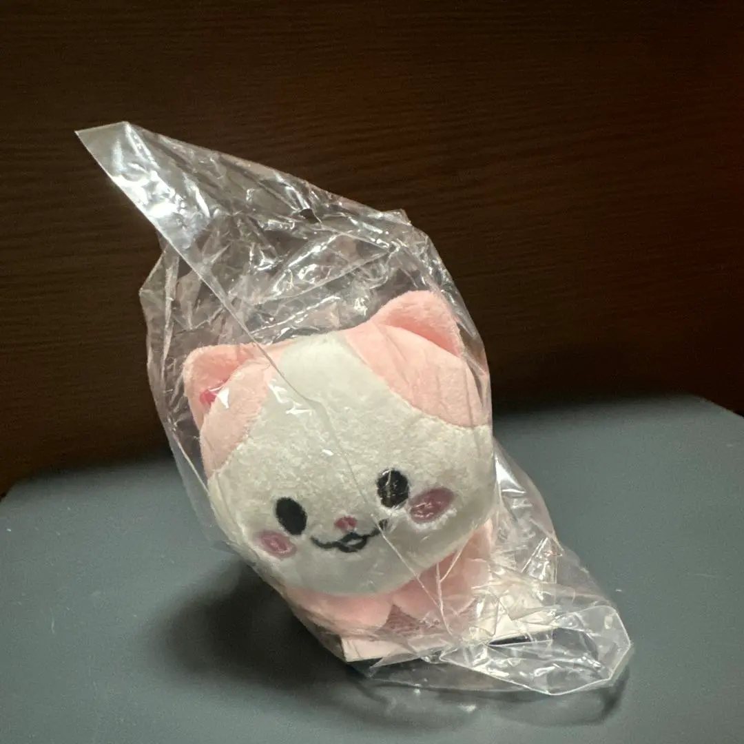 Thumbnail of ITZY TWINZY HANDWARMER Yuna NAong Plush