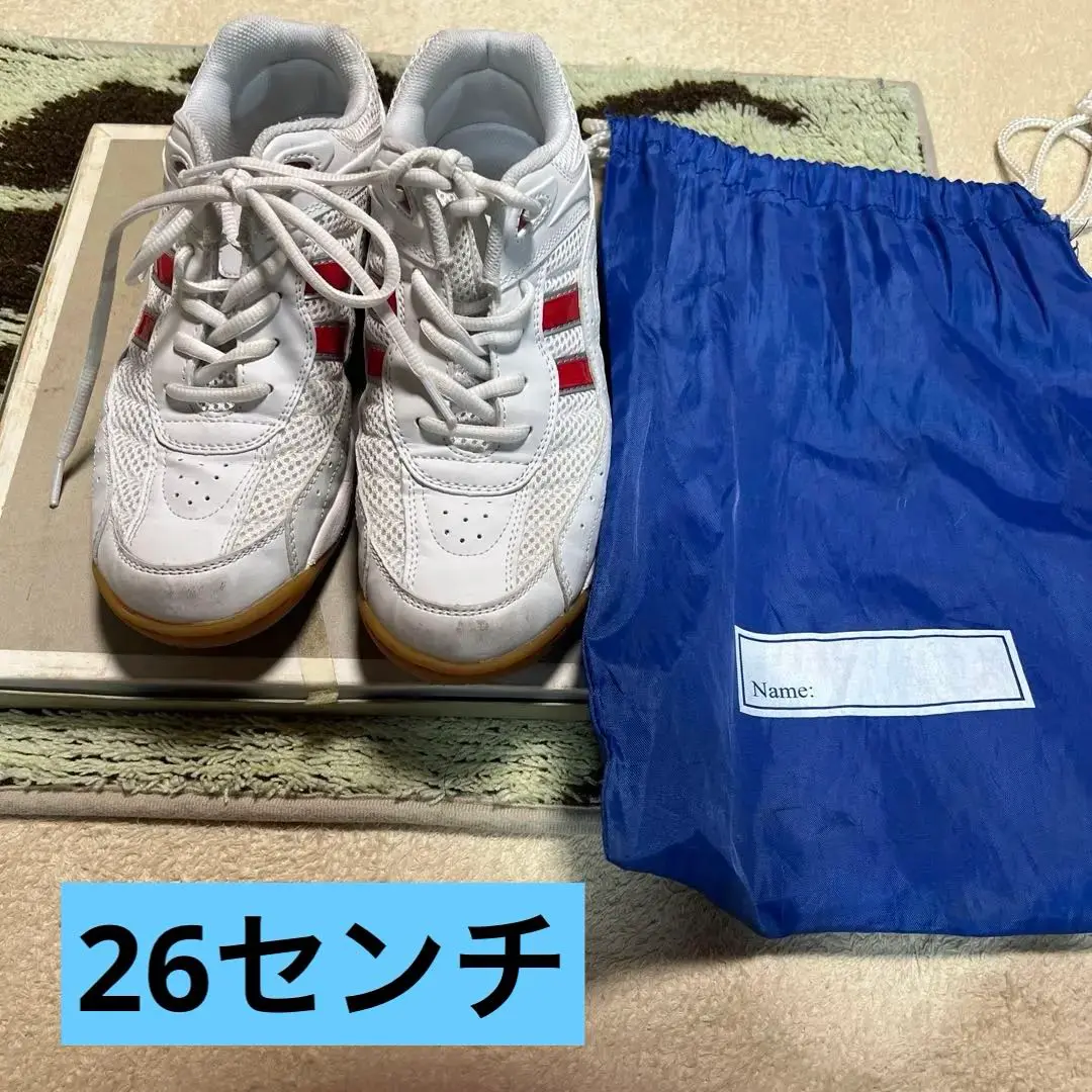 Goldstar Shoes Men's 7 US 6 UK Vintage Sneakers Retro Blue