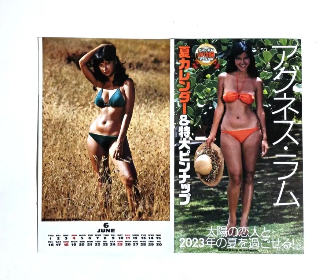 太陽の恋人 アグネス・ラム DVD。購入特典ピンナップ4点付。 太陽の恋人 アグネス・ラム DVD。購入特典ピンナップ4点付。