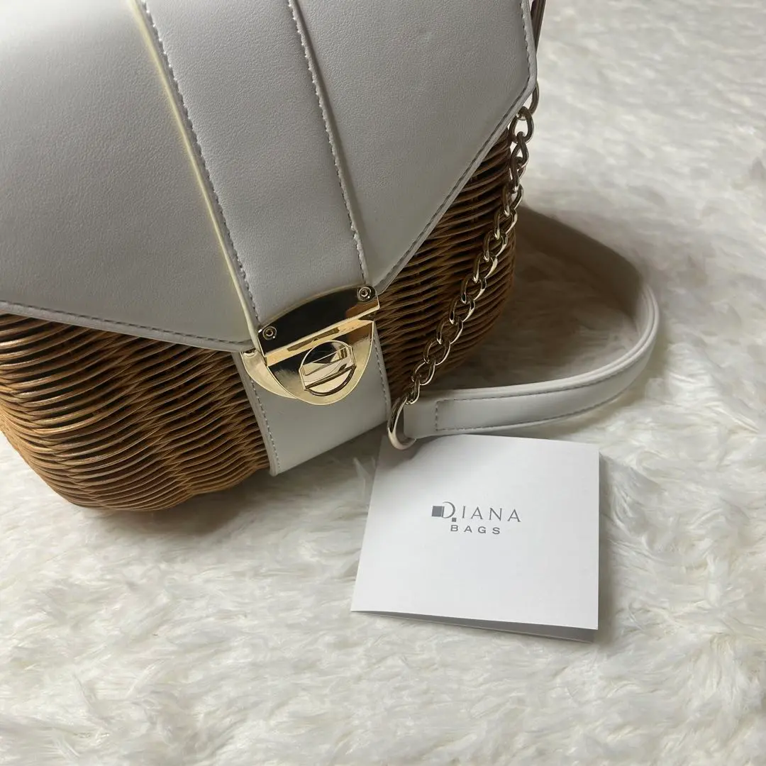 2025年最新】DIANA カラー：ホワイト系 かごバッグの人気