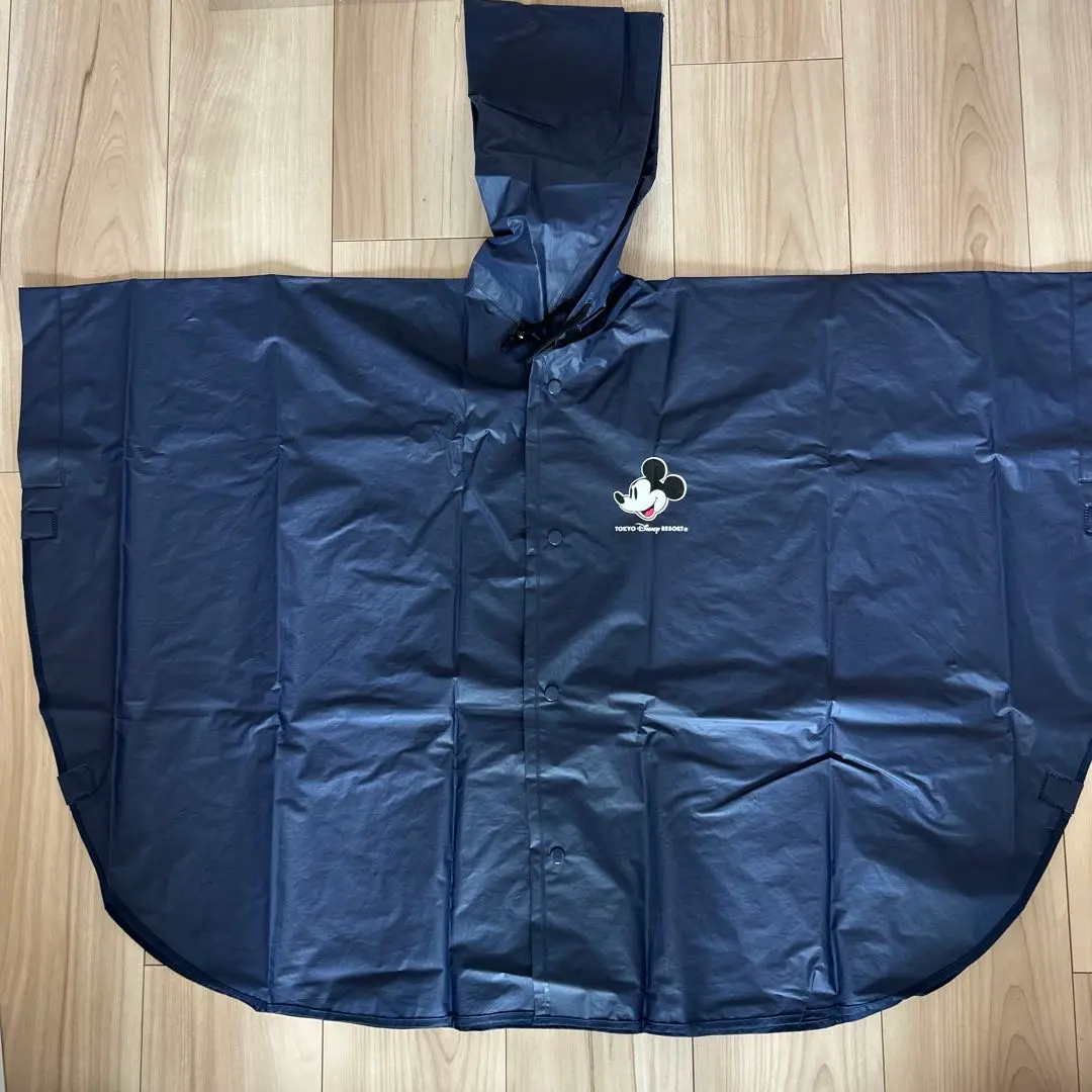 迪士尼樂園 雨披 的縮圖