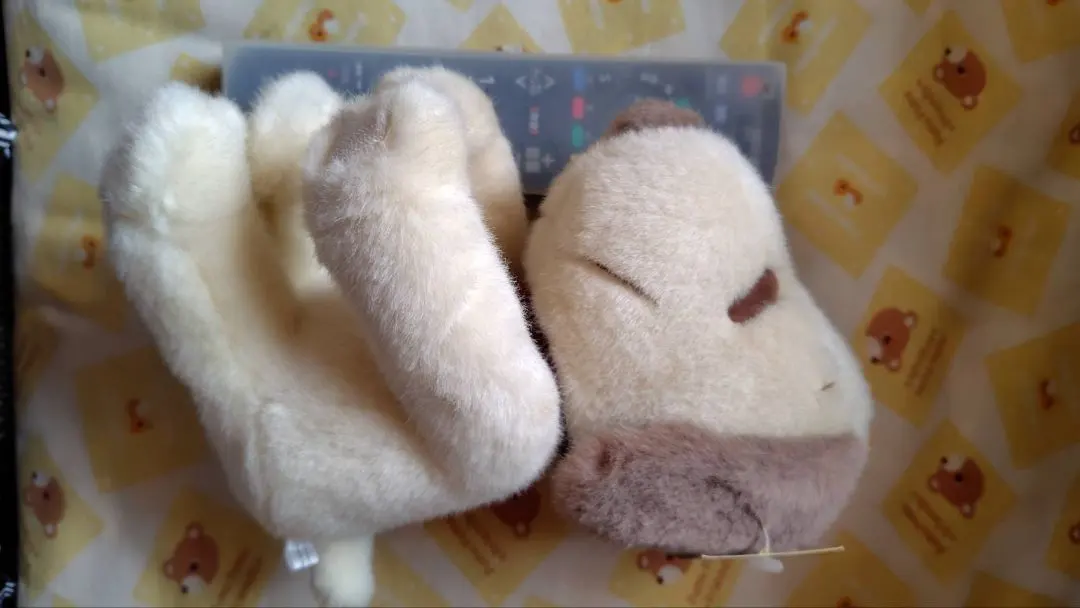 Thumbnail of Set of stuffed animals: Kuma, Snoopy, Totoro, and Pooh