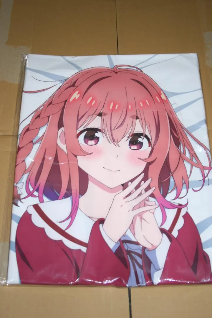 彼女、お借りします 桜沢墨 抱き枕カバー ポストカード 正規品 DMM 未開封 駿河屋 -【アダルト】<中古>桜沢墨 本命彼女抱き枕カバー vol.3