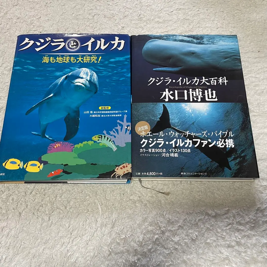 世界のクジラ・イルカ百科図鑑   新装版/河出書房新社/アナリサ・ベルタ（単行本） 世界のクジラ・イルカ百科図鑑 :アナリサ・ベルタ,山田 格,黒輪