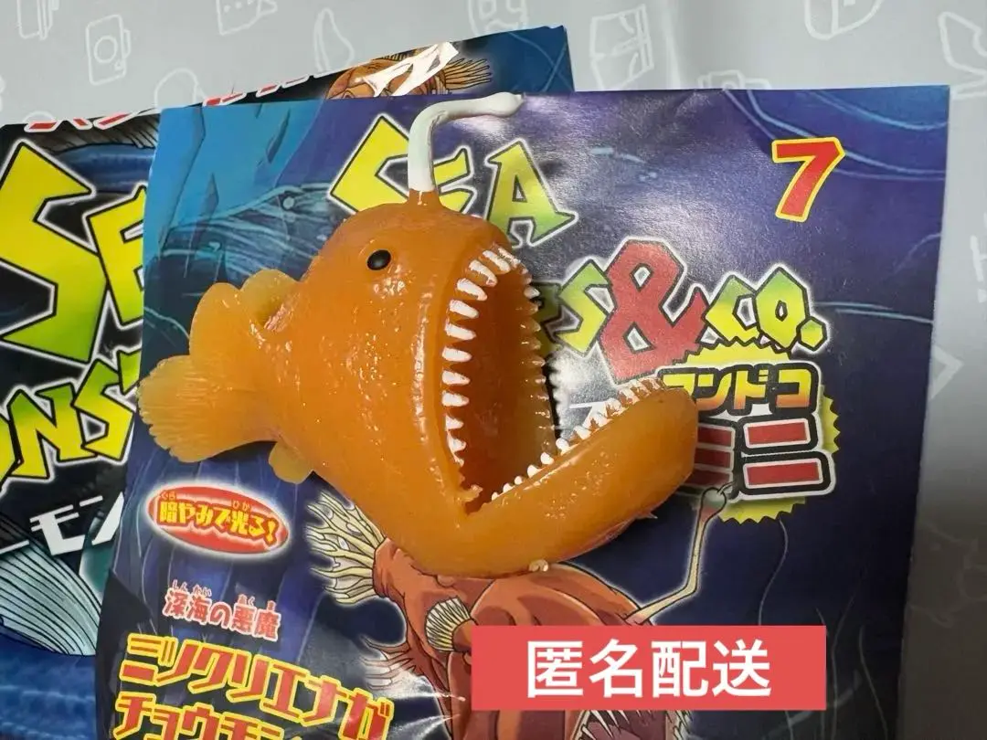 ミツクリエナガチョウチンアンコウ液浸標本 ミツクリエナガチョウチンアンコウ科(Ceratiidae)－ミツクリエ