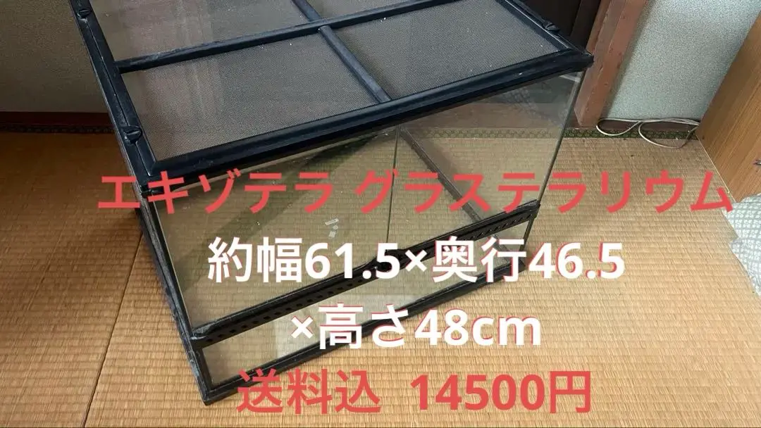 送料込グラステラリウム3045中古1台 爬虫類ケージ GEX エキゾテラ グラステラリウム 3045 爬虫類
