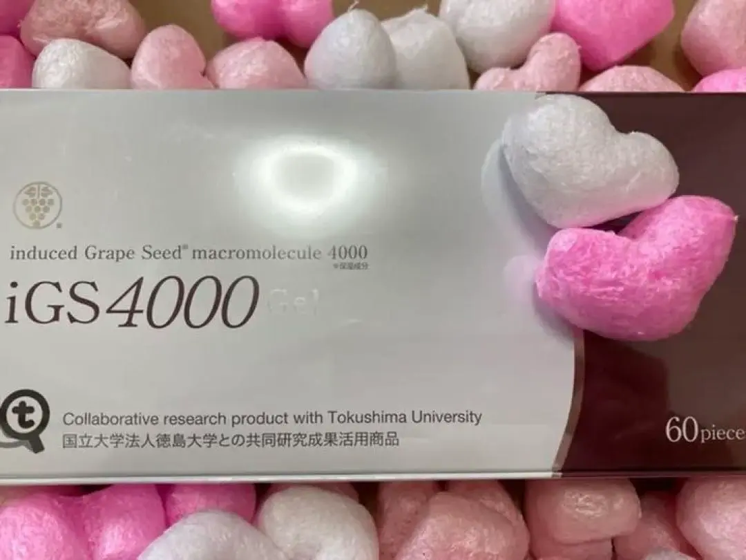 2025年最新】igs4000の人気アイテム - メルカリ