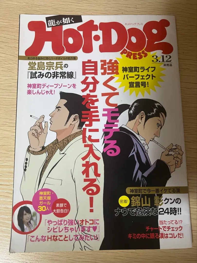 龍が如く0 予約特典 hotdog press(ホットドッグプレス) SEGA - 龍が如く0 予約特典 ホットドッグプレス Hot・Dog PRESS