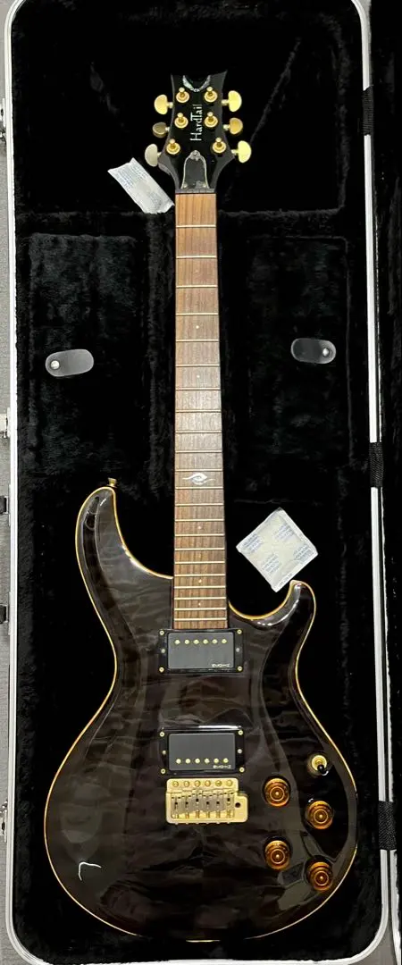 2025年最新】DEAN Hard Tailの人気アイテム - メルカリ