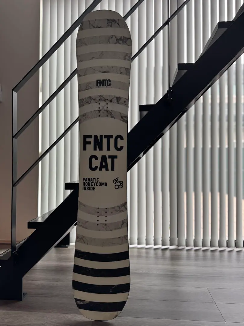2025年最新】fntc catの人気アイテム - メルカリ