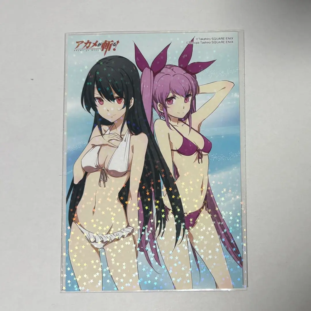 アカメが斬る エスデス スリーブ 未開封 アカメが斬る! エスデス EN-084 スリーブ キャラクタースリーブ