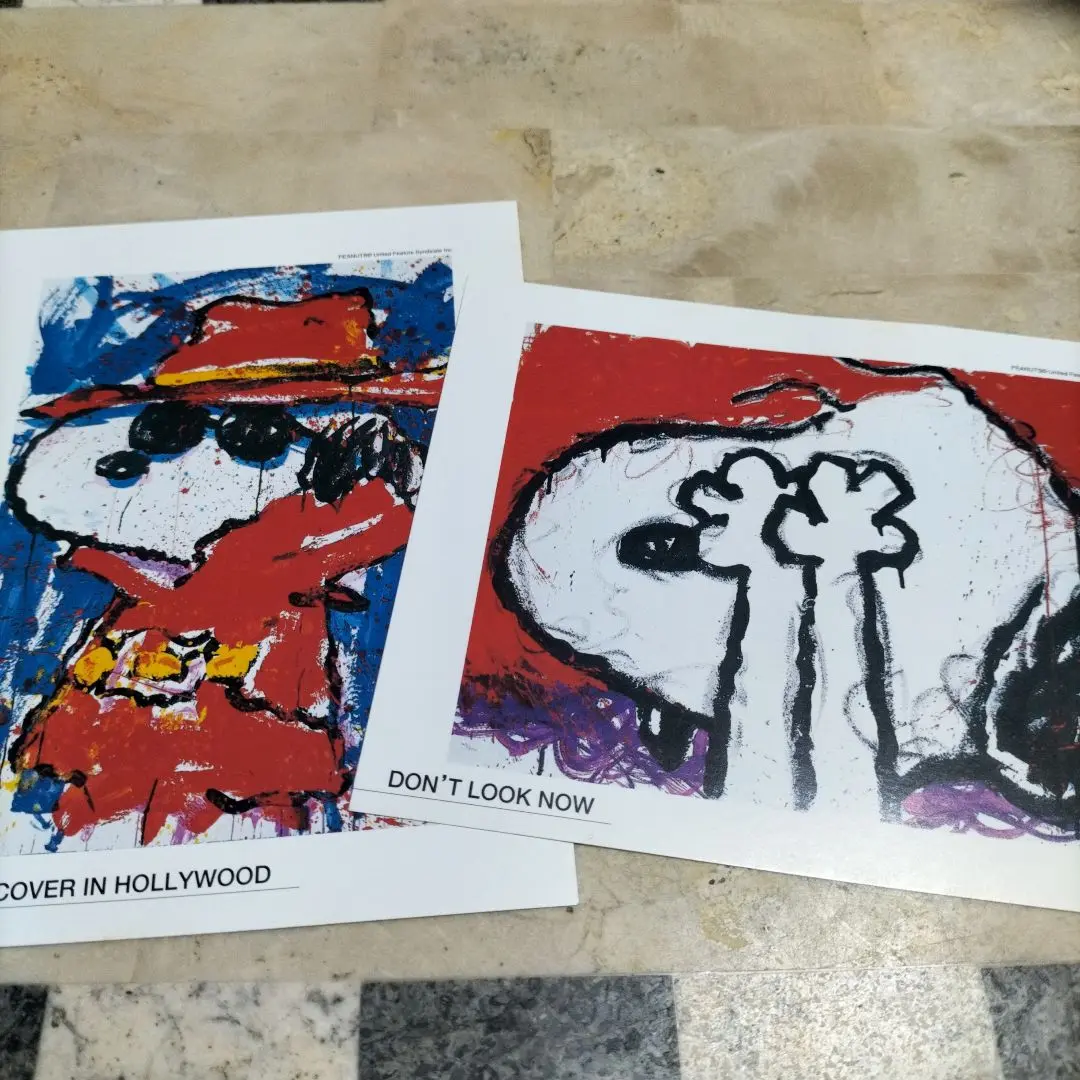 まもなく販売終了‼︎★SNOOPY 絵　✳︎トム・エバハート【未使用】1点のみ まもなく販売終了‼︎☆SNOOPY 絵 ✳︎トム・エバハート【未使用