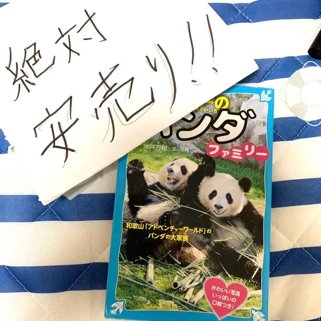 モ*ダ様 新品♦️アドベンチャーワールド 40thアニバーサリー パンダファミリ m72340889230_1.jpg?1688464553