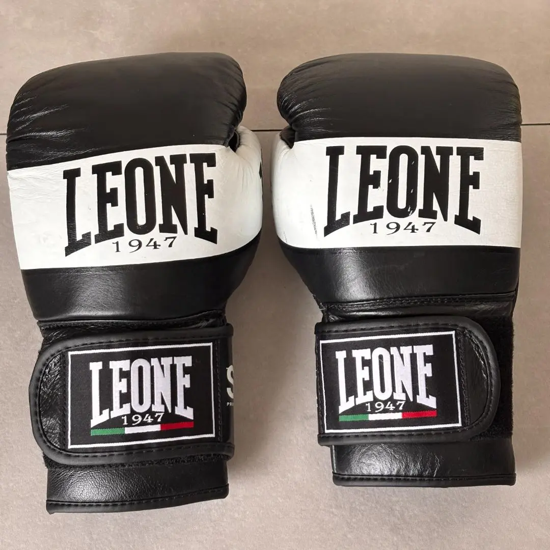 ボクシンググローブ　レオン　LEONE 14oz 14オンス Amazon.co.jp: LEONE 1947 ボクシング グローブ ユニセックス